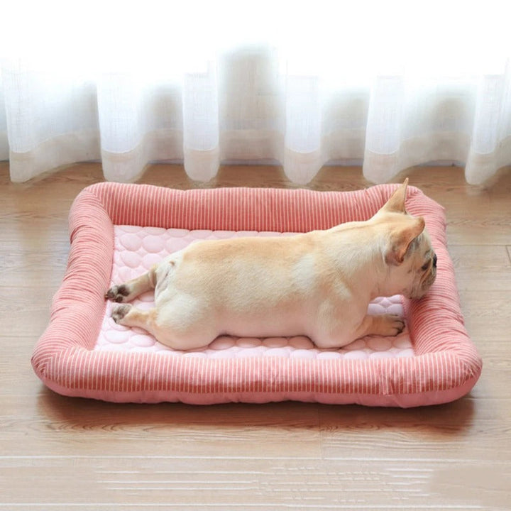 FurChill Frenchie Oddychająca Legowisko dla Psa – Mata Chłodząca z Antypoślizgową Podstawą na Gorące Dni |