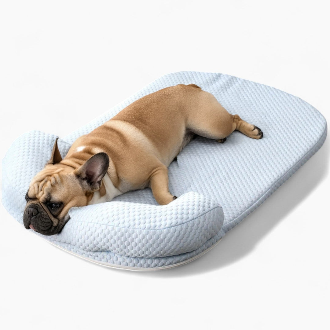 FurCool Matka Chłodząca dla French Bulldog – Oddychająca, Pralna Letnia Poduszka |