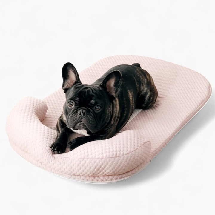 FurCool Matka Chłodząca dla French Bulldog – Oddychająca, Pralna Letnia Poduszka |