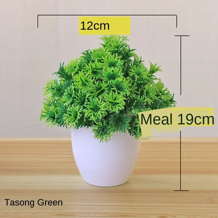 Małe doniczki z roślinami bonsai