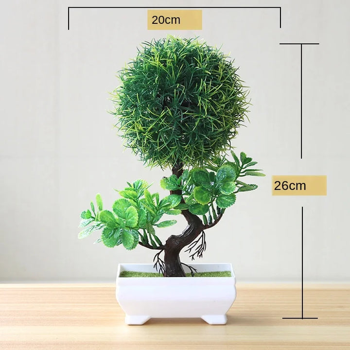 Małe doniczki z roślinami bonsai