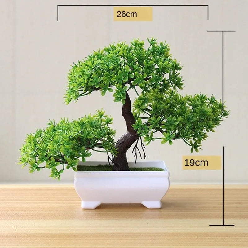 Małe doniczki z roślinami bonsai