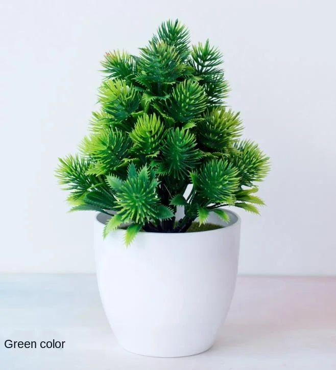 Małe doniczki z roślinami bonsai