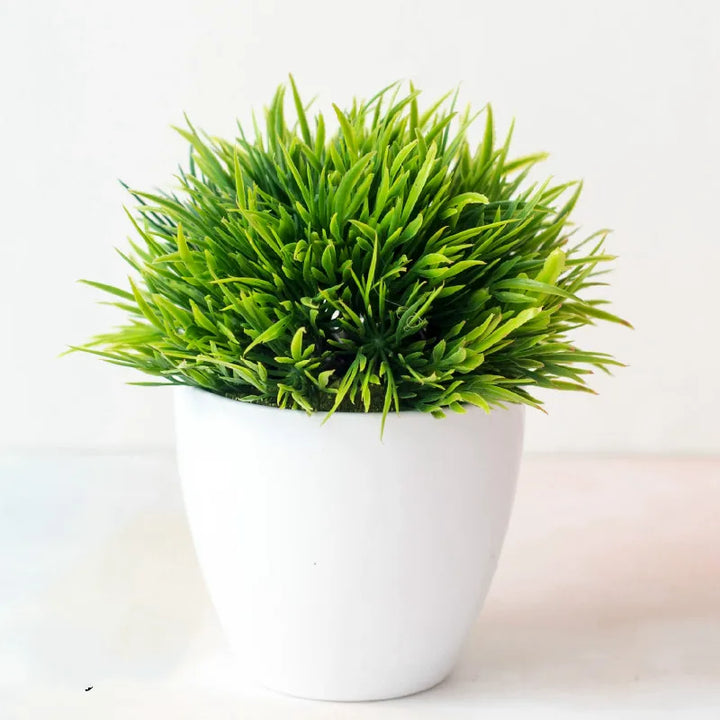 Małe doniczki z roślinami bonsai