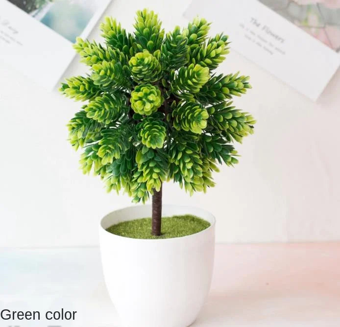Małe doniczki z roślinami bonsai