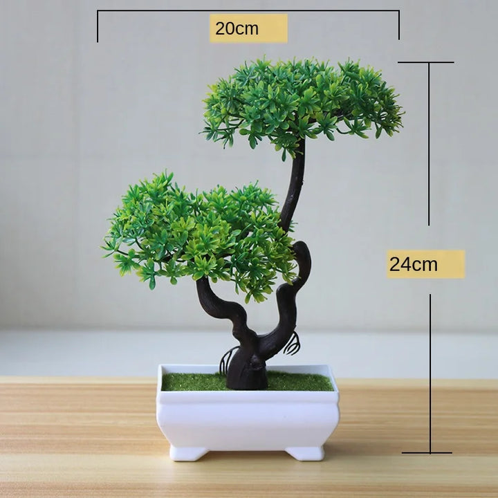 Małe doniczki z roślinami bonsai