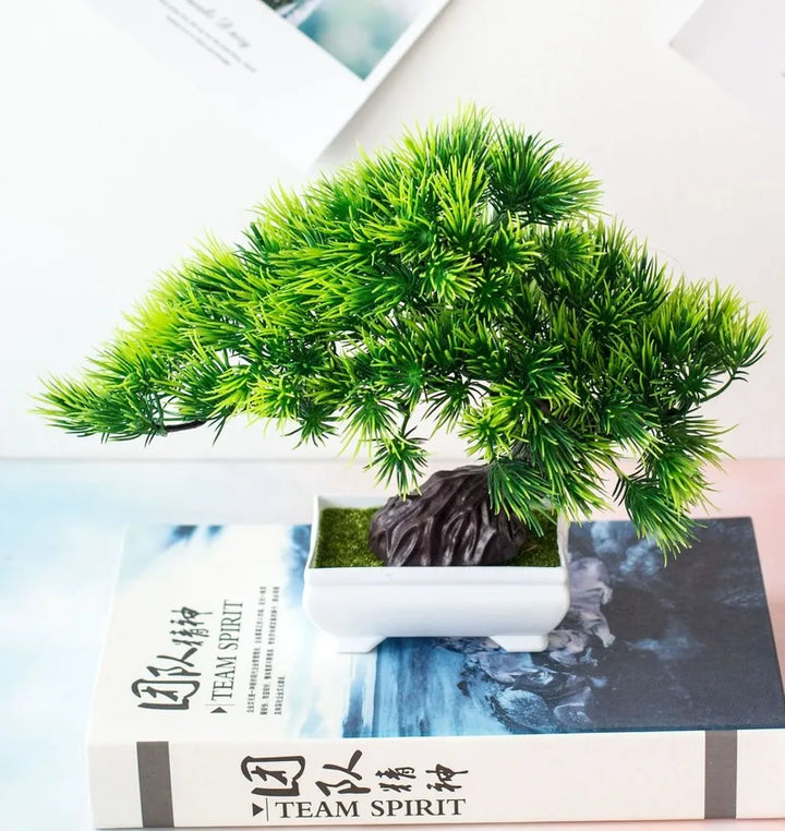 Małe doniczki z roślinami bonsai