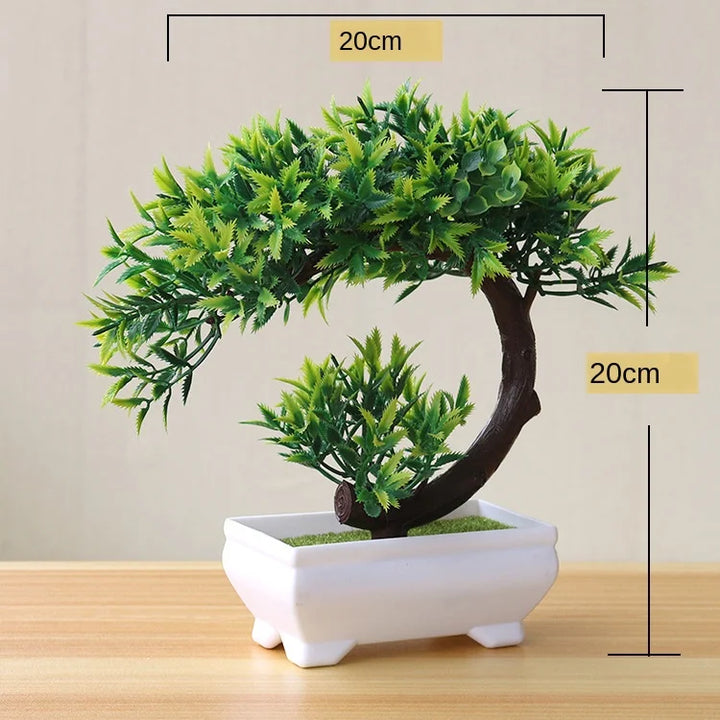 Małe doniczki z roślinami bonsai