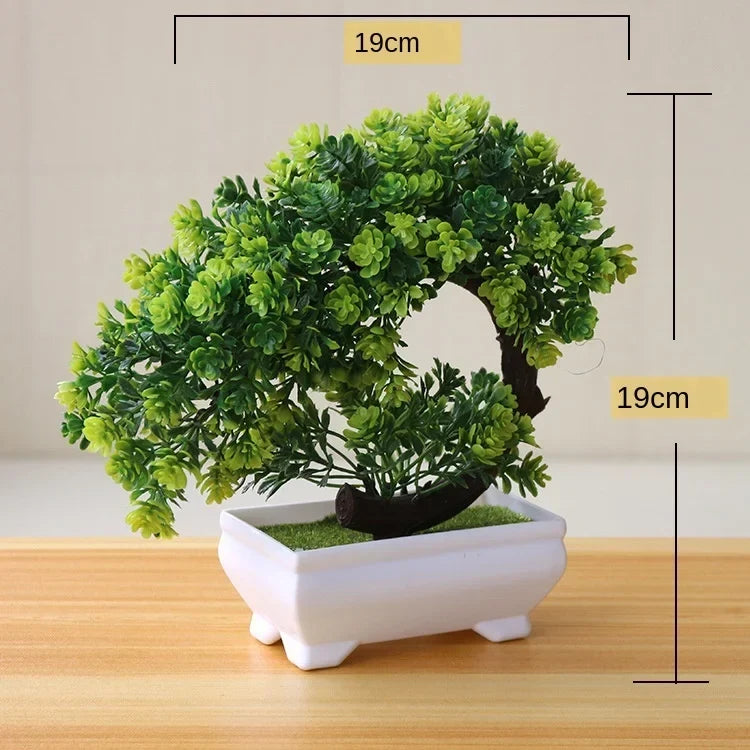 Małe doniczki z roślinami bonsai