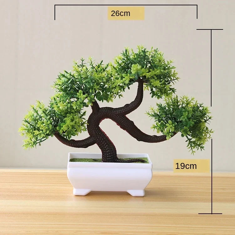 Małe doniczki z roślinami bonsai