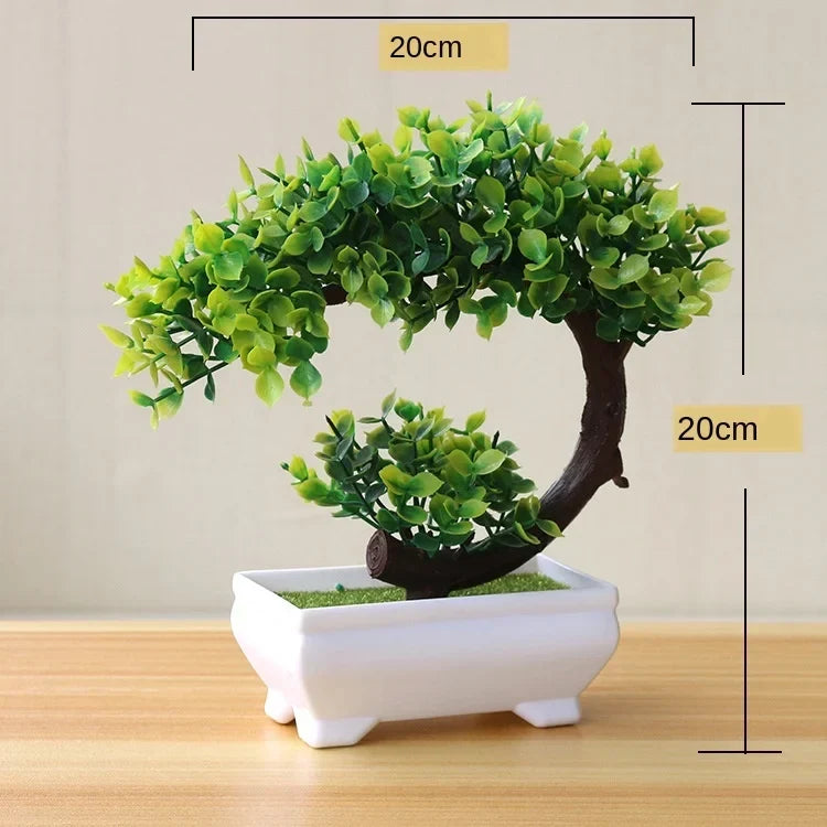 Małe doniczki z roślinami bonsai