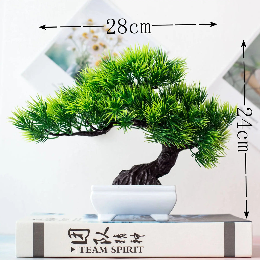 Małe doniczki z roślinami bonsai