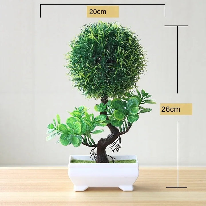 Małe doniczki z roślinami bonsai