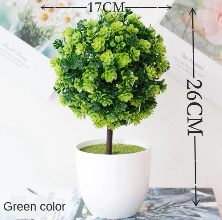 Małe doniczki z roślinami bonsai