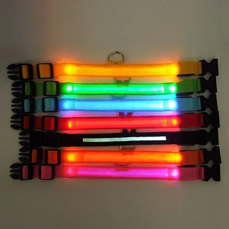 Obroża LED GlowPets – Bezpieczeństwo i Widoczność dla Zwierząt