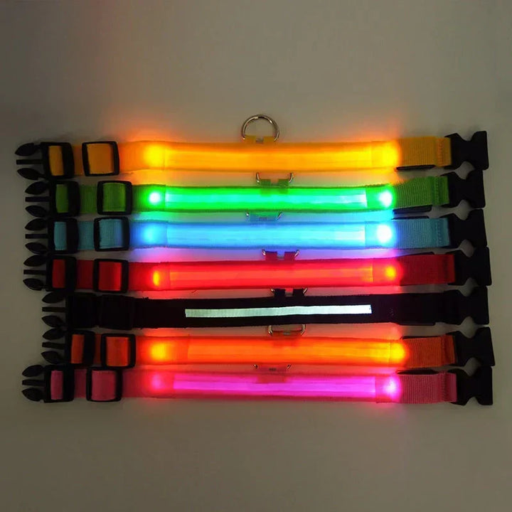 Obroża LED GlowPets – Bezpieczeństwo i Widoczność dla Zwierząt