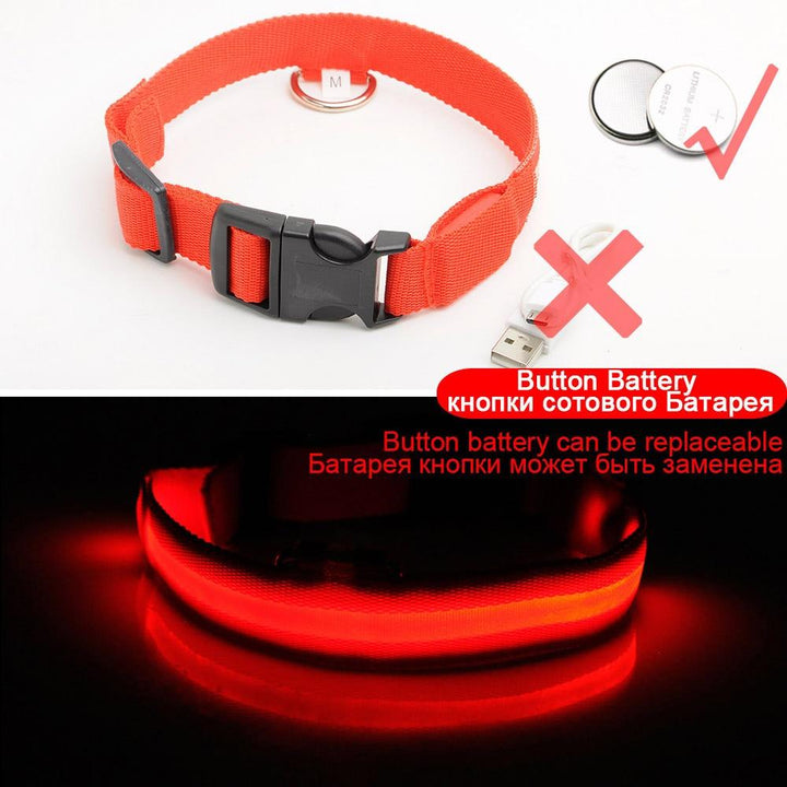 Podświetlany Obroża dla Psa - Migająca Obroża dla Psa