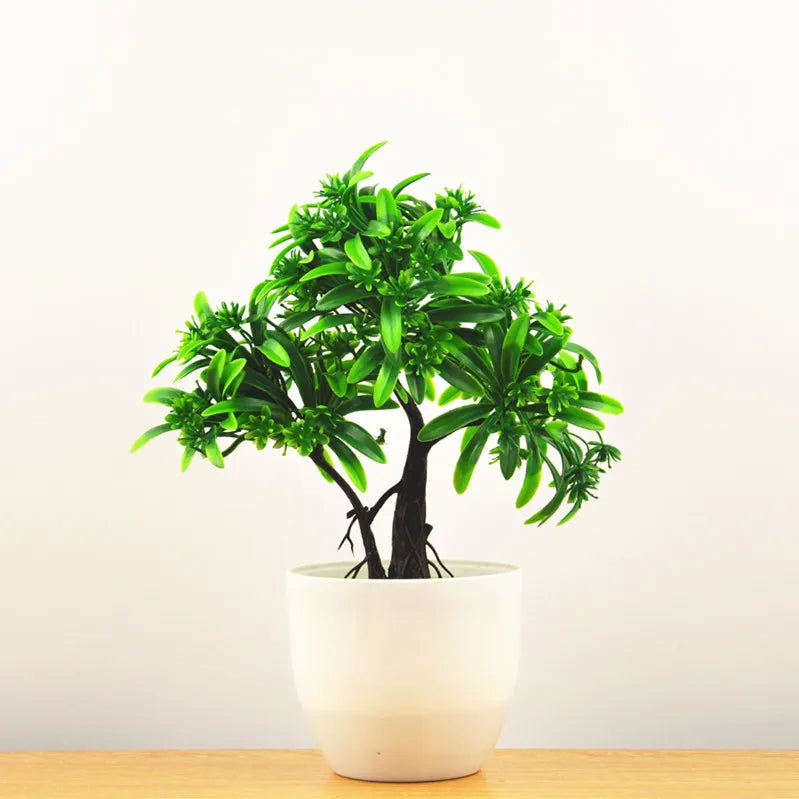 Małe doniczki z roślinami bonsai