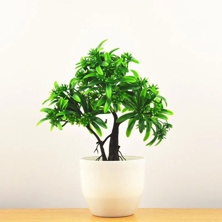 Małe doniczki z roślinami bonsai