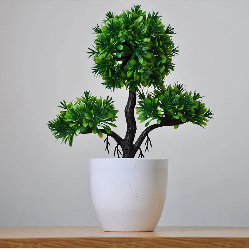 Małe doniczki z roślinami bonsai