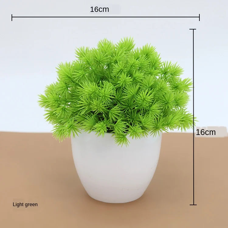 Małe doniczki z roślinami bonsai
