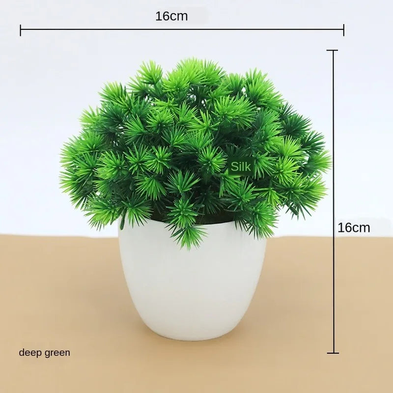 Małe doniczki z roślinami bonsai