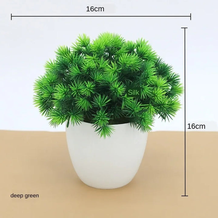Małe doniczki z roślinami bonsai