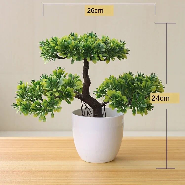 Małe doniczki z roślinami bonsai