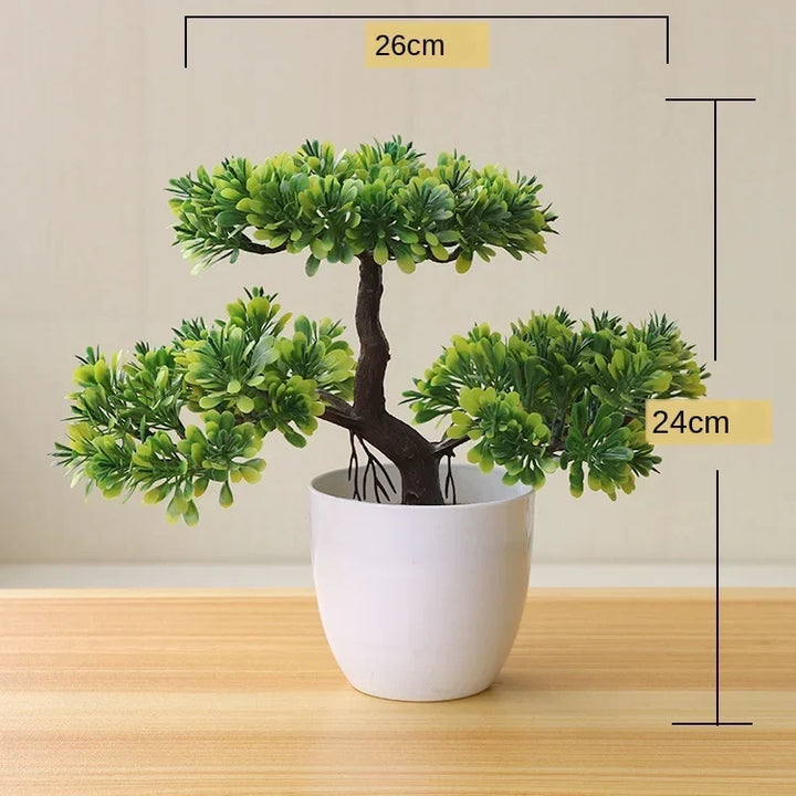 Małe doniczki z roślinami bonsai