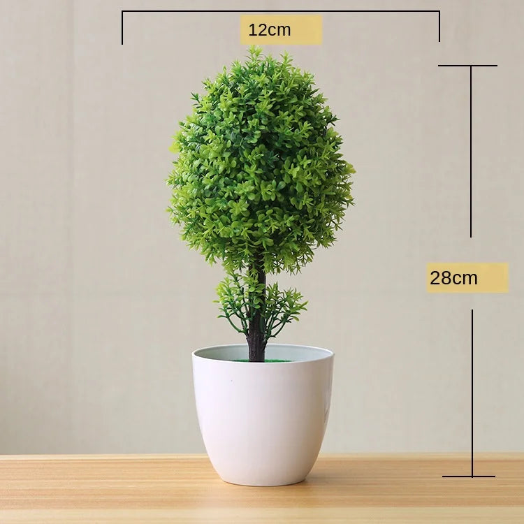 Małe doniczki z roślinami bonsai