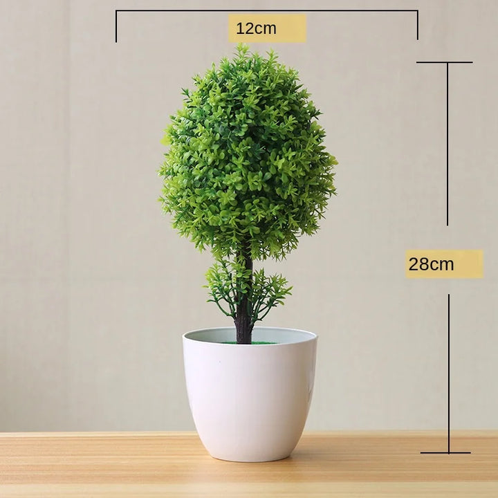 Małe doniczki z roślinami bonsai