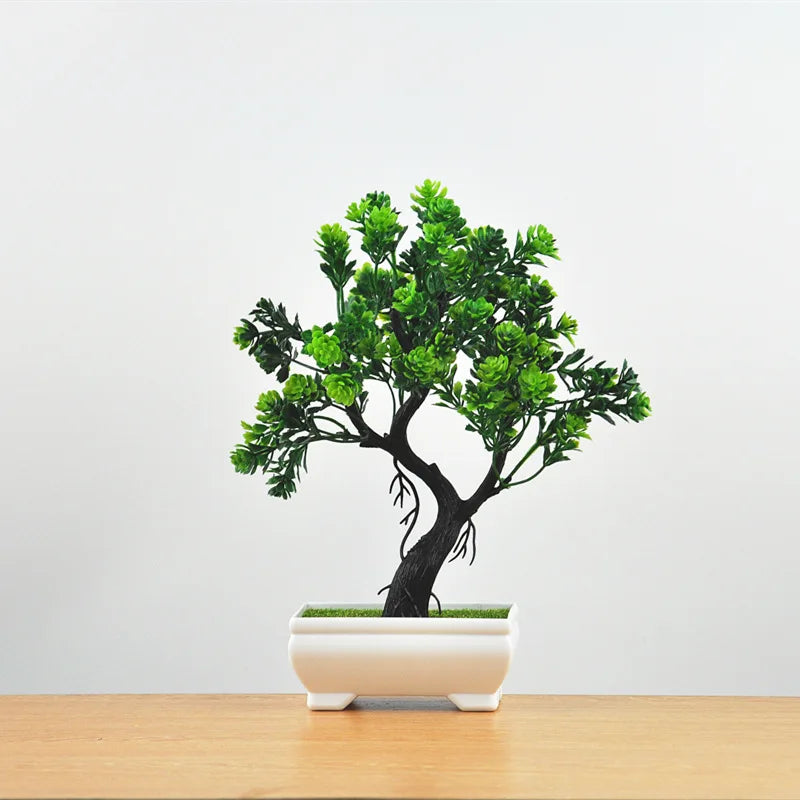 Małe doniczki z roślinami bonsai