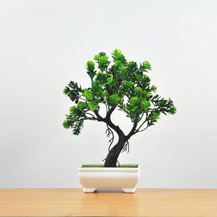 Małe doniczki z roślinami bonsai