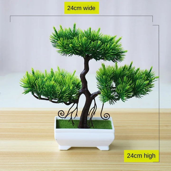 Małe doniczki z roślinami bonsai