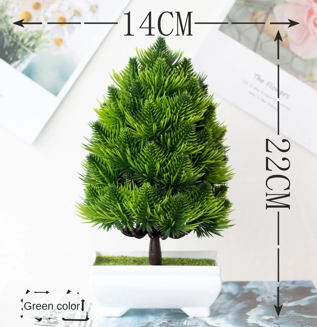Małe doniczki z roślinami bonsai