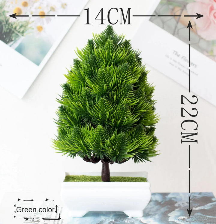Małe doniczki z roślinami bonsai