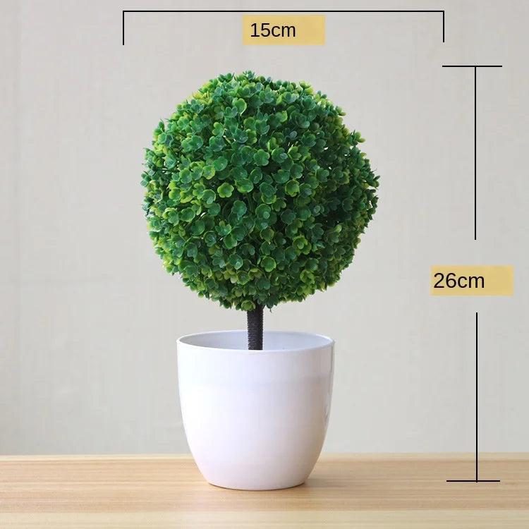 Małe doniczki z roślinami bonsai