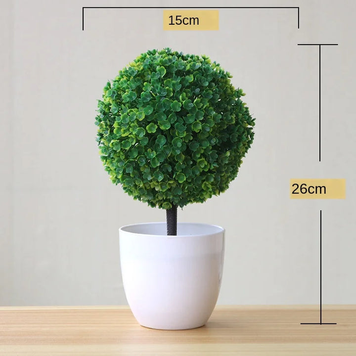 Małe doniczki z roślinami bonsai