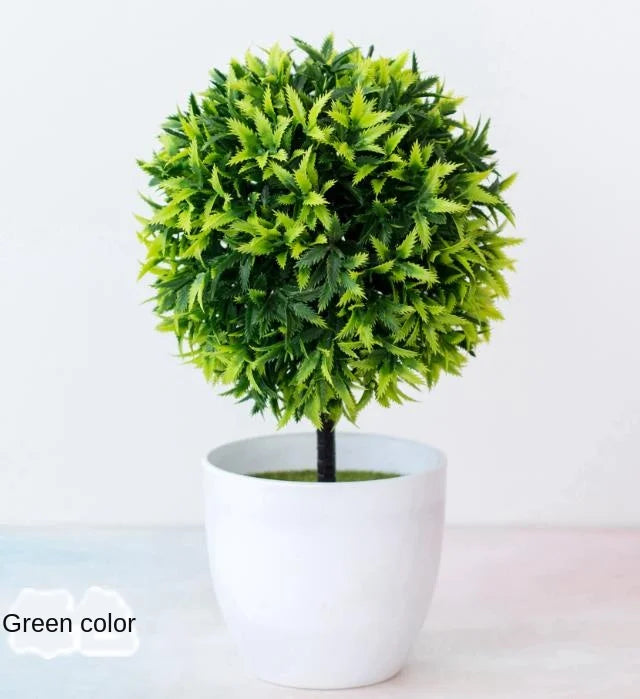 Małe doniczki z roślinami bonsai