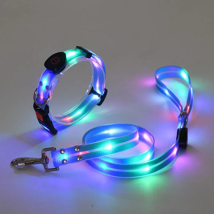 Obroża LED dla psa z smyczą – NightBright