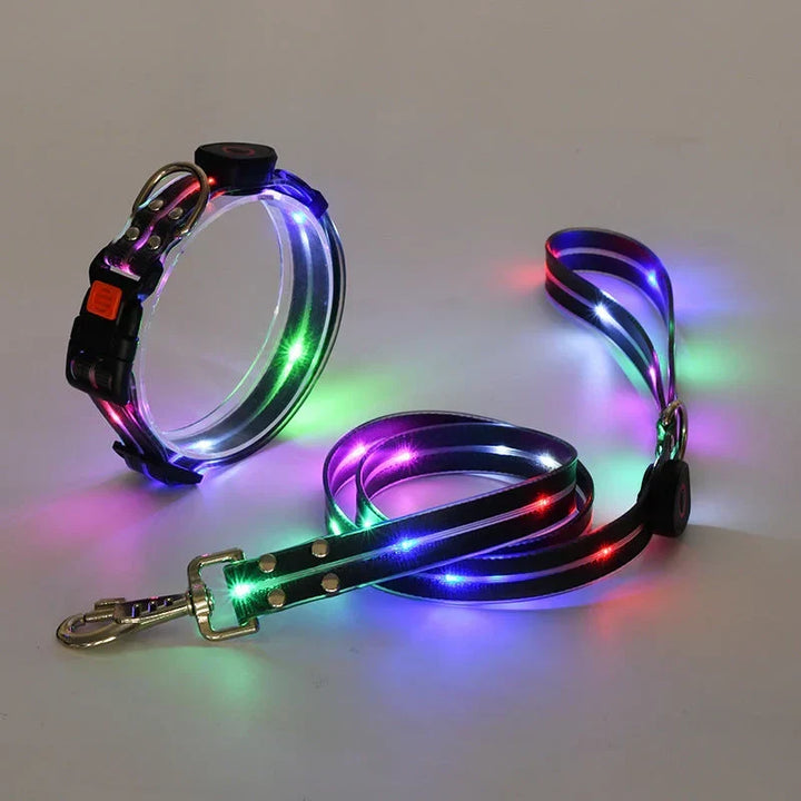 Obroża LED dla psa z smyczą – NightBright