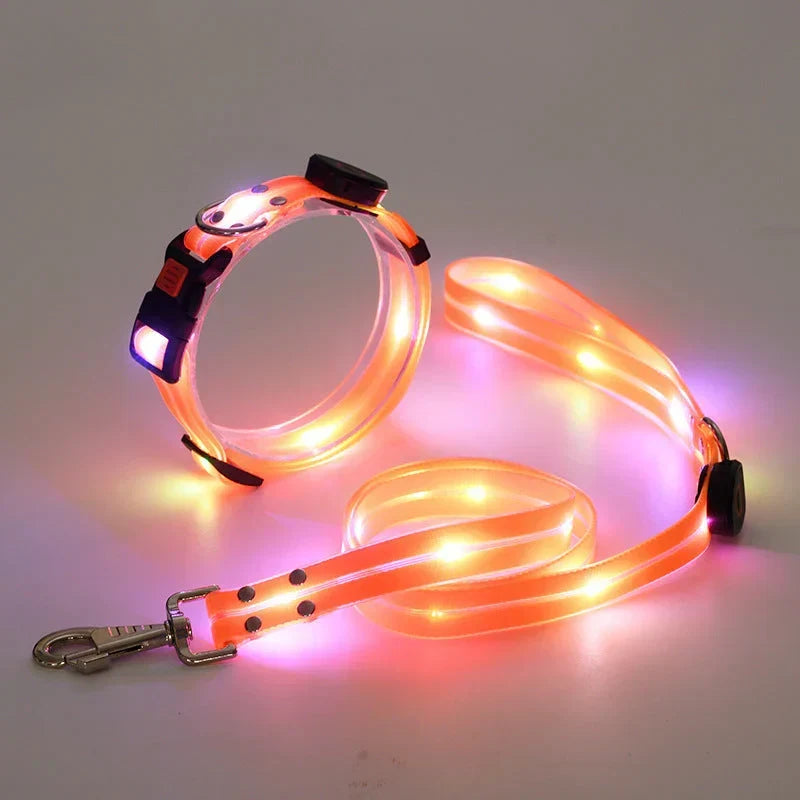 Obroża LED dla psa z smyczą – NightBright