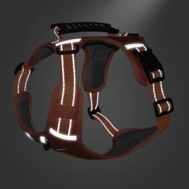 harness dla psa zapobiegający ciągnięciu na spacerach bez bólu