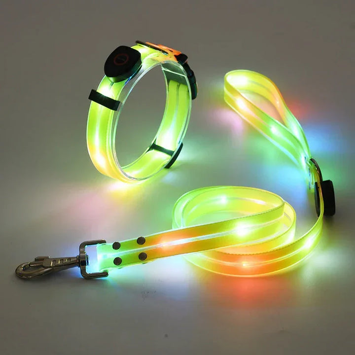 Obroża LED dla psa z smyczą – NightBright