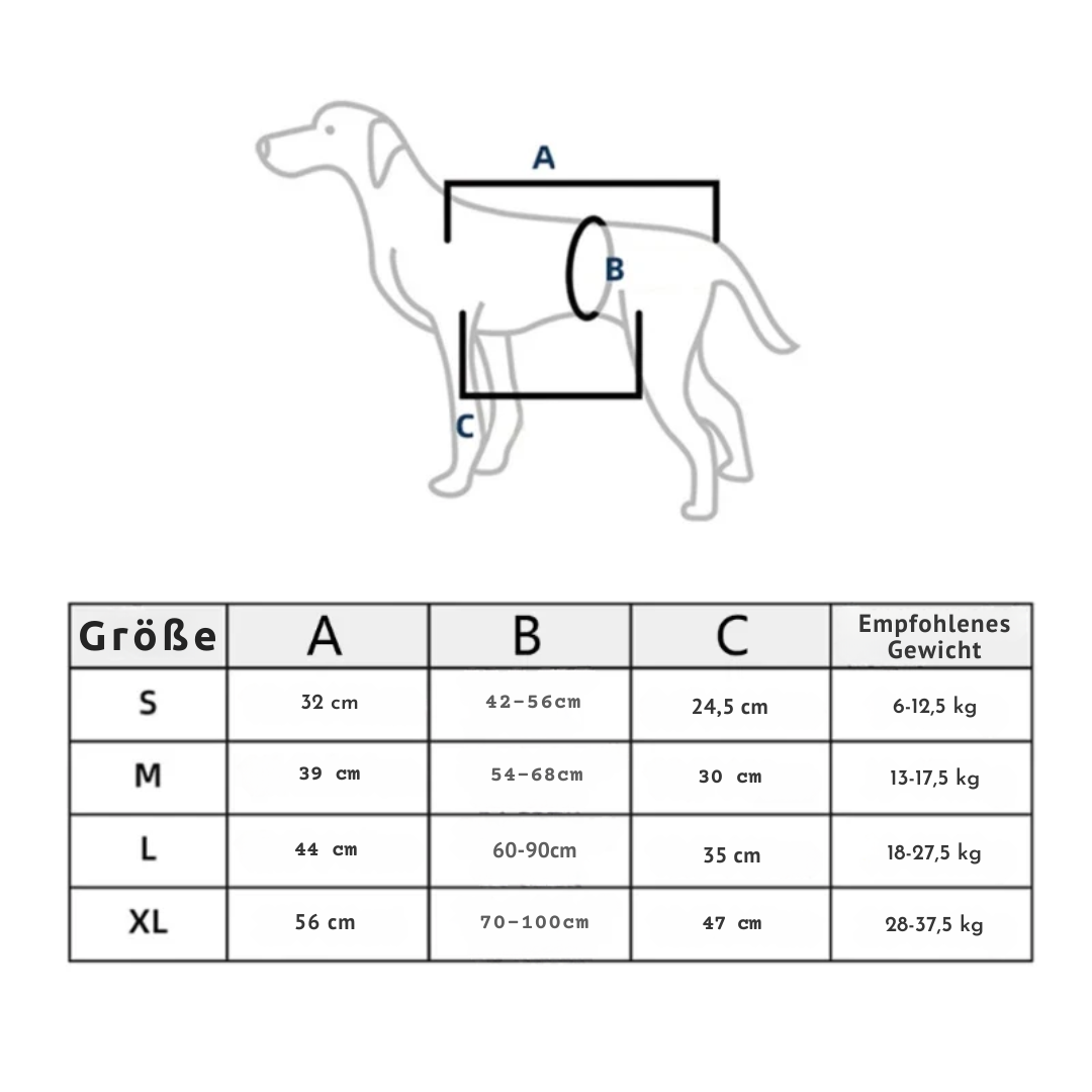 Szelki Reha-Dog z Stabilnym Uchem do Noszenia