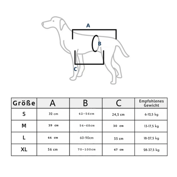 Szelki Reha-Dog z Stabilnym Uchem do Noszenia
