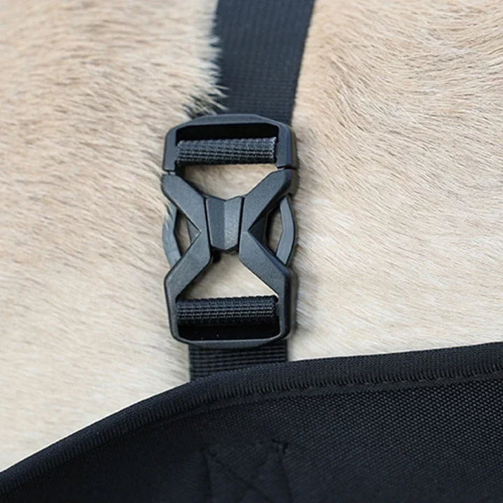 Szelki Reha-Dog z Stabilnym Uchem do Noszenia