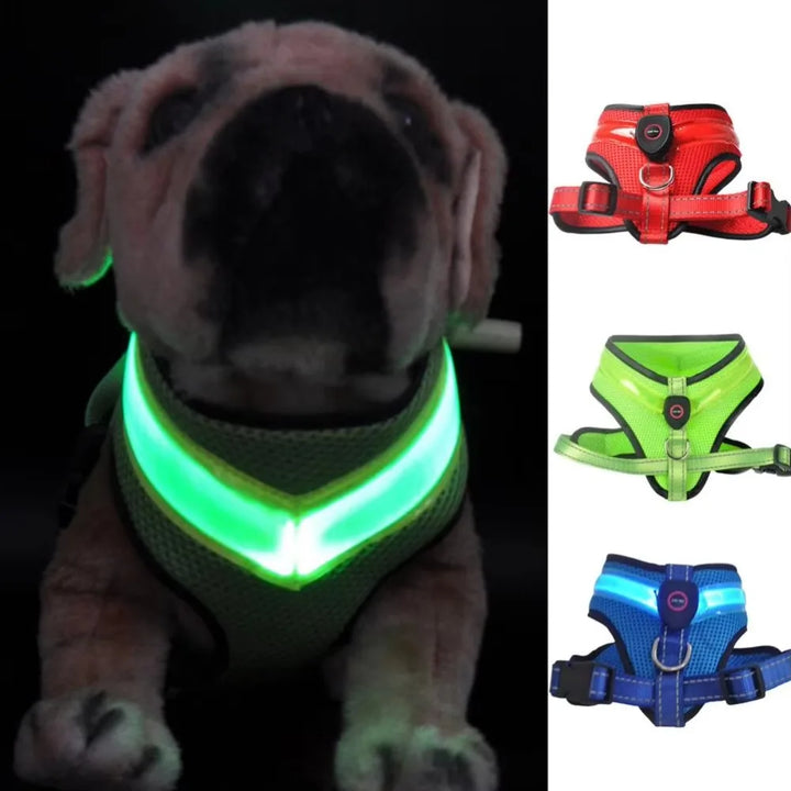 LED Szelki dla psów USB ładowalne i regulowane