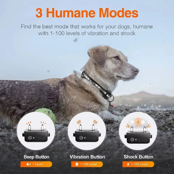 Rechargeable Electric Dog Training Collar with Remote &amp; 1000m Range – PetControl