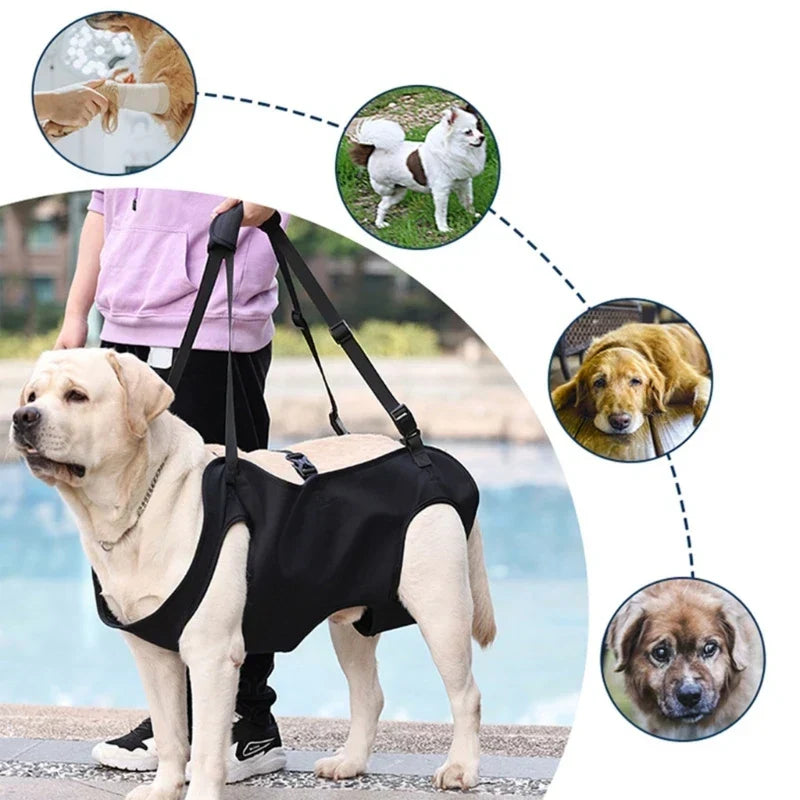 Szelki Reha-Dog z Stabilnym Uchem do Noszenia